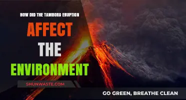 Tambora's Eruption: Environmental Impacts and Global Ecological Consequences Explored