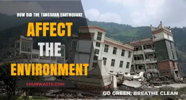 Tangshan Earthquake's Environmental Impact: Long-Term Effects and Recovery Challenges
