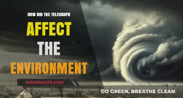 Telegraph's Environmental Impact: Revolutionizing Communication, Shaping Ecosystems