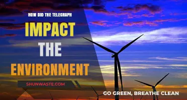 Telegraph's Environmental Legacy: Revolutionizing Communication, Reshaping Ecosystems