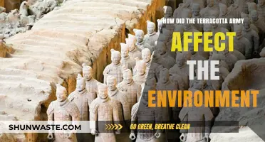Terracotta Army's Environmental Impact: Uncovering Ancient China's Ecological Legacy