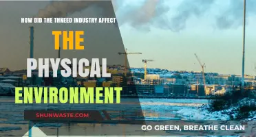 Thneed Industry's Environmental Impact: A Physical Landscape Transformation