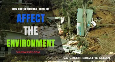 Thredbo Landslide's Environmental Impact: A Comprehensive Analysis and Aftermath