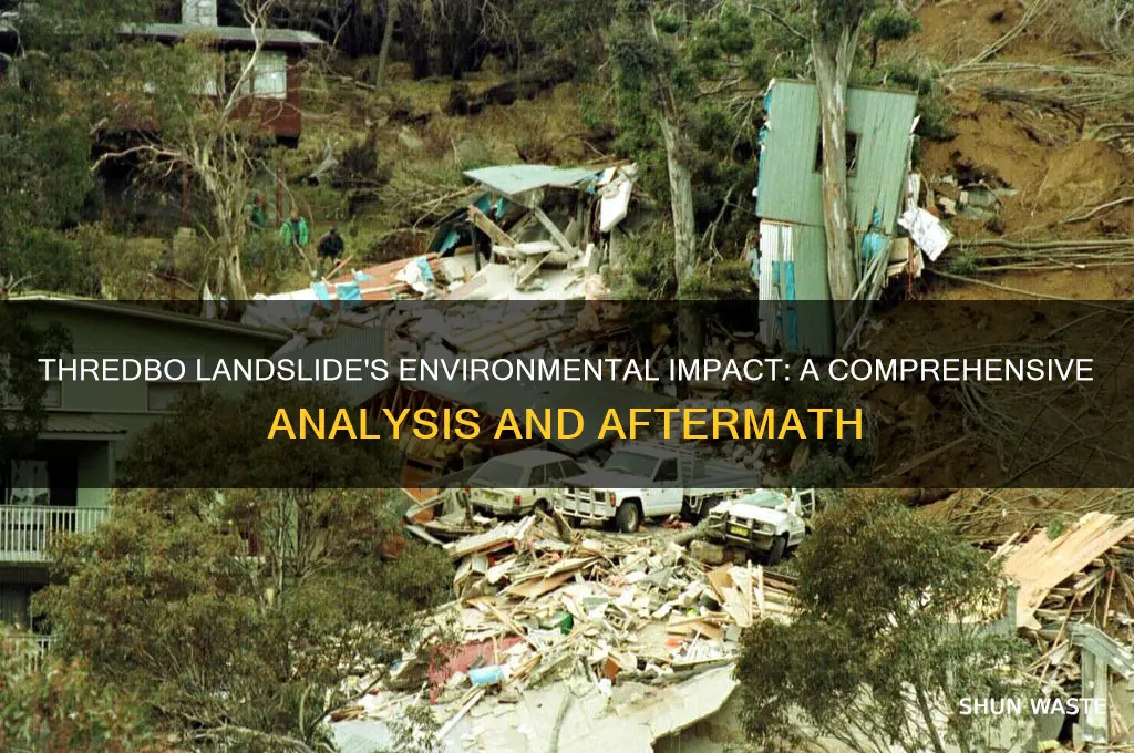 how did the thredbo landslide affect the environment