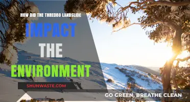 Thredbo Landslide's Environmental Aftermath: Ecosystem Disruption and Recovery Challenges