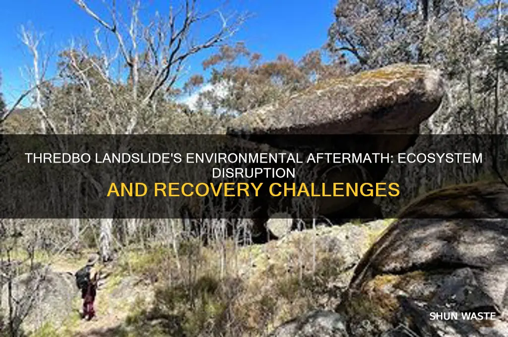 how did the thredbo landslide impact the environment