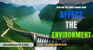 Environmental Impact of the Three Gorges Dam: A Comprehensive Analysis