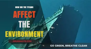 Titanic's Environmental Legacy: Uncovering the Shipwreck's Impact on the Ocean