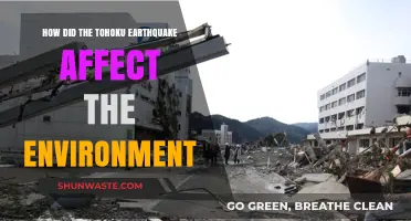 Tohoku Earthquake's Environmental Impact: Devastation, Recovery, and Long-Term Effects
