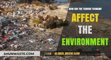 Tohoku Tsunami's Environmental Impact: Devastation, Recovery, and Long-Term Effects