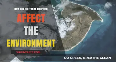 Tonga Eruption's Environmental Impact: Assessing the Devastation and Recovery Efforts