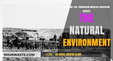 Transcontinental Railroad's Impact: Transforming Landscapes and Ecosystems Forever
