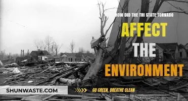 Tri-State Tornado's Environmental Impact: Destruction, Recovery, and Long-Term Effects