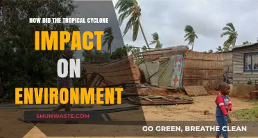 Tropical Cyclone's Devastating Environmental Impact: A Comprehensive Analysis