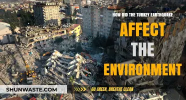 Turkey Earthquake's Environmental Impact: Devastation, Recovery, and Long-Term Effects