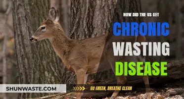 Unraveling the Mystery: How Chronic Wasting Disease Entered the US