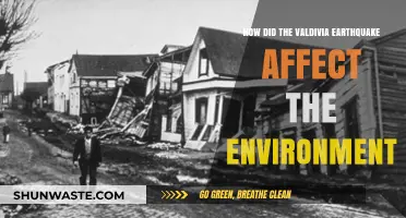 Valdivia Earthquake's Environmental Impact: Shaping Ecosystems and Landscapes