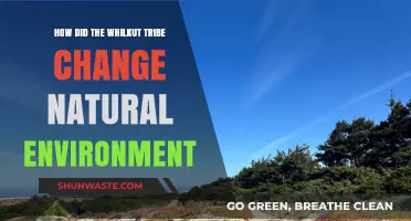 Whilkut Tribe's Impact: Transforming the Natural Environment Through Traditional Practices