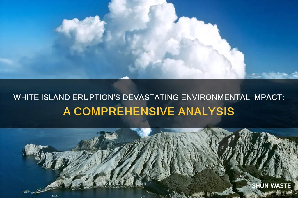 how did the white island eruption affect the environment
