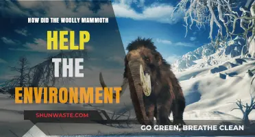 Woolly Mammoths' Surprising Role in Shaping Ancient Ecosystems
