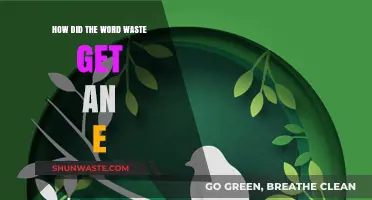 How the Word 'Waste' Gained an 'E': A Linguistic Journey