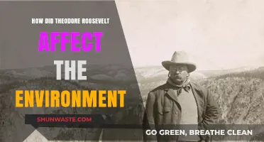 Theodore Roosevelt's Environmental Legacy: Conservation, Protection, and Progressive Impact