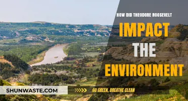 Theodore Roosevelt's Legacy: Shaping Conservation and Environmental Stewardship