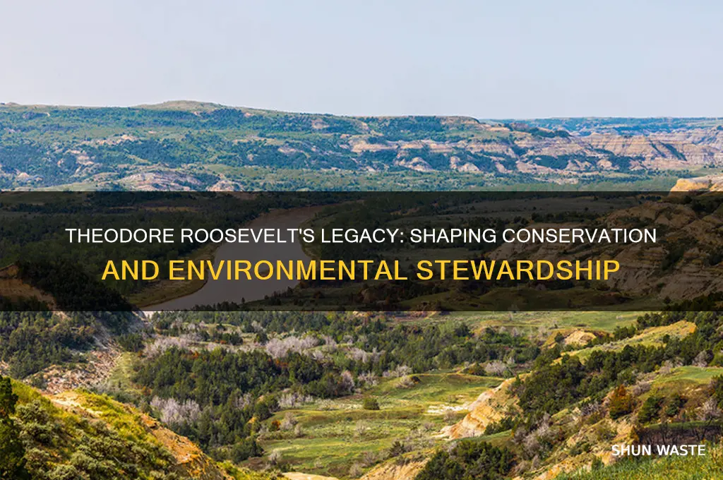 how did theodore roosevelt impact the environment