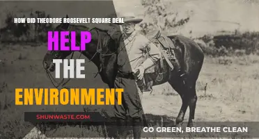 Theodore Roosevelt's Square Deal: A Landmark in Environmental Conservation