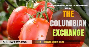Tomatoes' Environmental Legacy: Shaping Ecosystems During the Columbian Exchange