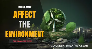 Trade's Environmental Impact: Exploring the Ecological Costs of Global Exchange