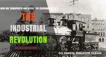 Industrial Revolution's Transportation Impact: Environmental Consequences and Legacy
