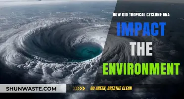 Cyclone Ana's Environmental Toll: Devastation, Recovery, and Ecosystem Resilience
