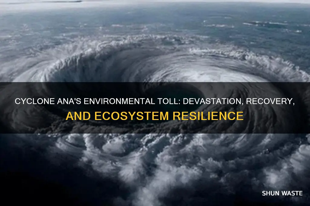 how did tropical cyclone ana impact the environment