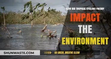 Cyclone Freddy's Devastating Environmental Impact: A Comprehensive Analysis