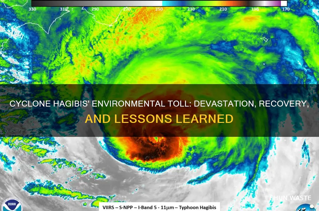 how did tropical cyclone hagibis impact the environment