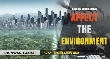 Urbanization's Environmental Impact: Challenges and Sustainable Solutions Explored