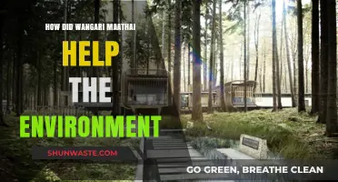 Wangari Maathai's Green Revolution: Empowering Communities, Saving Ecosystems