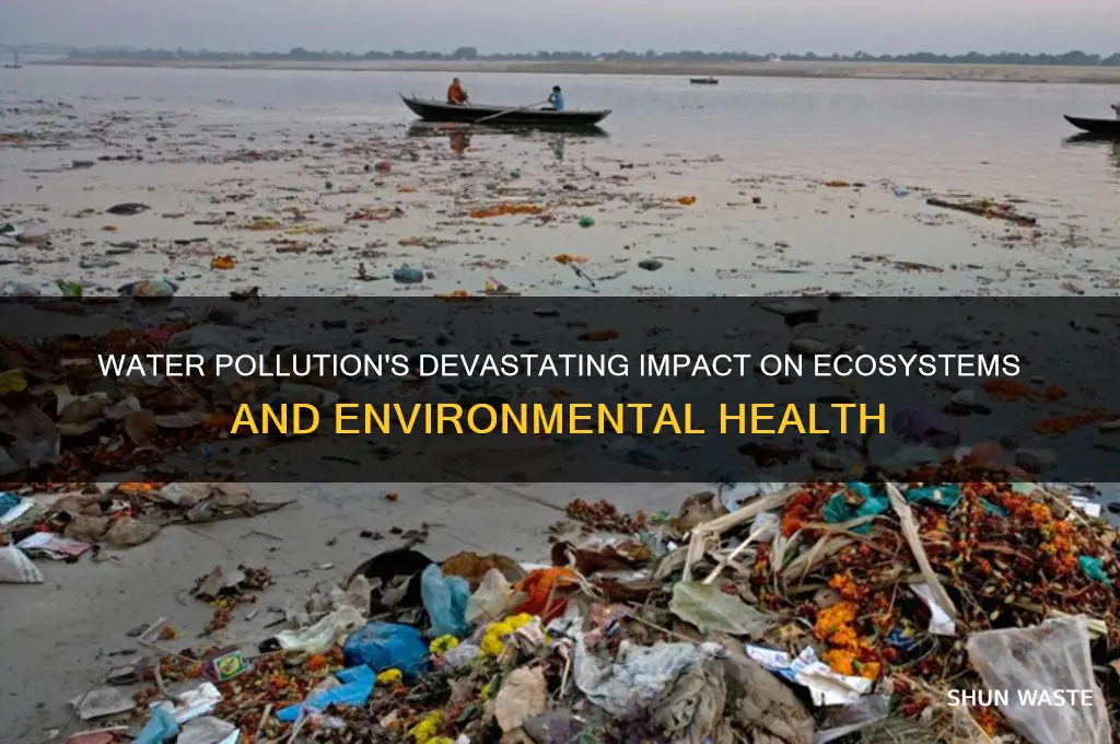 how did water pollution affect the environment