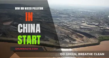 China's Water Crisis: A Historical Overview of Industrial Pollution