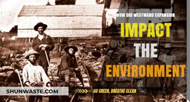Westward Expansion's Environmental Toll: Land, Wildlife, and Ecosystems Transformed