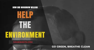 Woodrow Wilson's Environmental Legacy: Conservation Efforts and Impact
