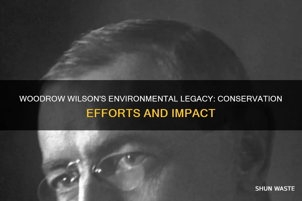how did woodrow wilson help the environment