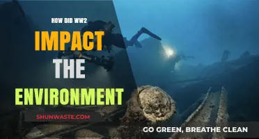 World War II's Devastating Environmental Legacy: Destruction, Pollution, and Recovery