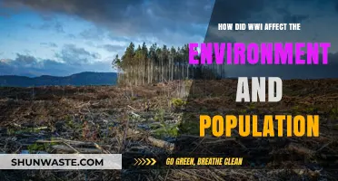 WWI's Devastating Impact: Environment, Population, and Long-Term Consequences