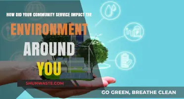 Community Service: Transforming Local Ecosystems Through Sustainable Actions