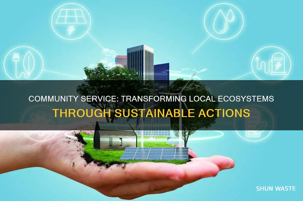 how did your community service impact the environment around you