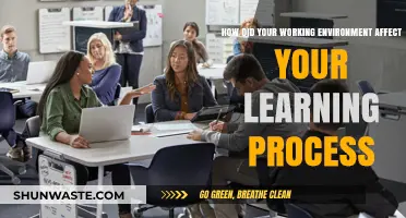 How Your Work Environment Shapes Your Learning Journey
