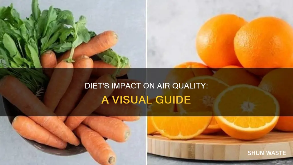 how diet affects air pollution graph