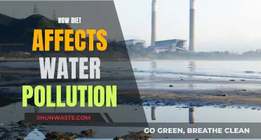 Diet's Impact: Water Pollution and Health